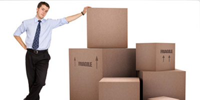 Adyar Dolphin Packers Movers